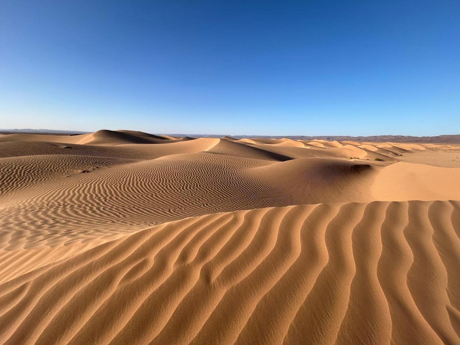 Bivouac La Dune Blanche M'Hamid Ngoại thất bức ảnh