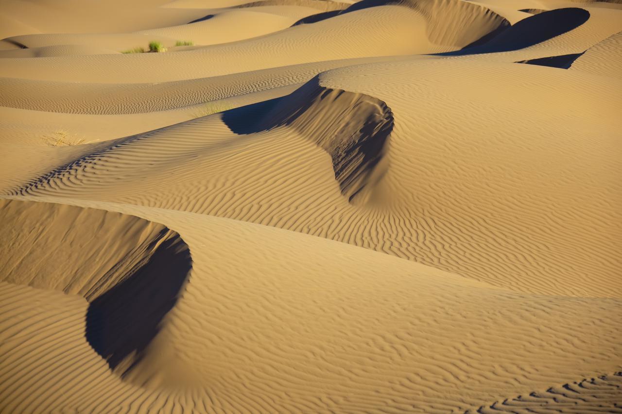 Bivouac La Dune Blanche M'Hamid Ngoại thất bức ảnh
